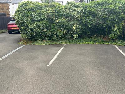 Picture 10